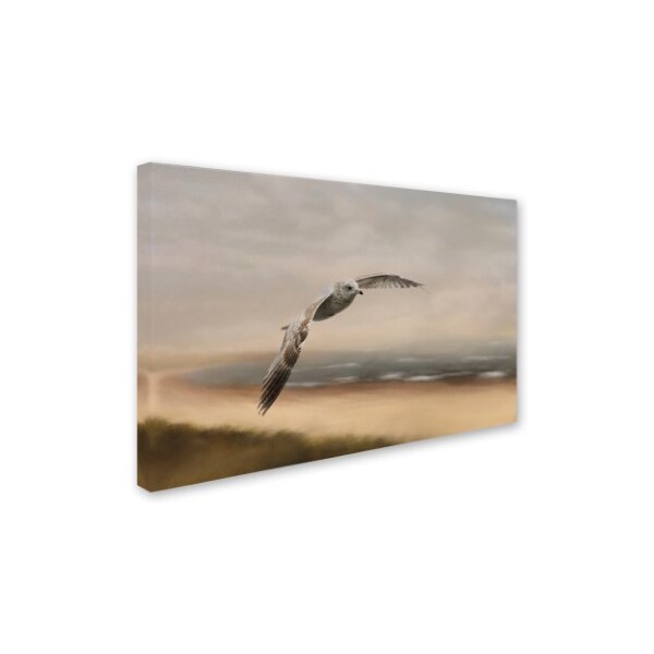 Jai Johnson 'Gull At The Shore' Canvas Art,30x47